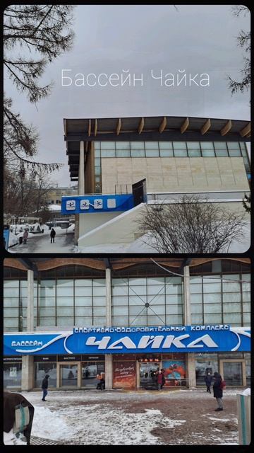 бассейн Чайка и Moscow Dive Show 2026