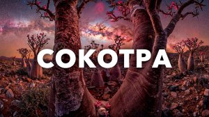 Самый странный остров на Земле с инопланетными видами | СОКОТРА