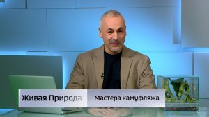 Живая природа. "Мастера камуфляжа"