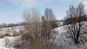 Погибшие протестующие в Иране на совести Трампа?