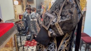 МИТРОПОЛИТ ИГНАТИЙ СОВЕРШИЛ ЛИТУРГИЮ ПРЕЖДЕОСВЯЩЕННЫХ ДАРОВ В СВЯТО-ДУХОВСКОМ СОБОРЕ Г. САРАТОВА