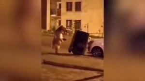 немного юмора