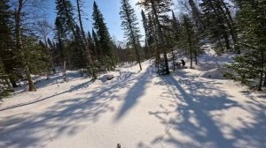 БУРАН ЛИДЕР+БУРАН 550+BRP Лес Лога Отличная погода🌄 🔥 👍