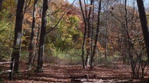 unpopular-188_3840x2160_30_yuv420p