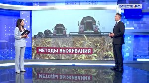 Агрострахование: в центре внимания Совета Федерации. Александр Двойных. Сказано в Сенате