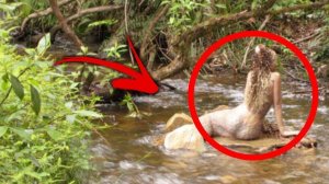 10 Настоящих Русалок Снятых на Камеру