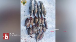 Ежедневный выпуск Агентство чрезвычайных новостей от 27 февраля