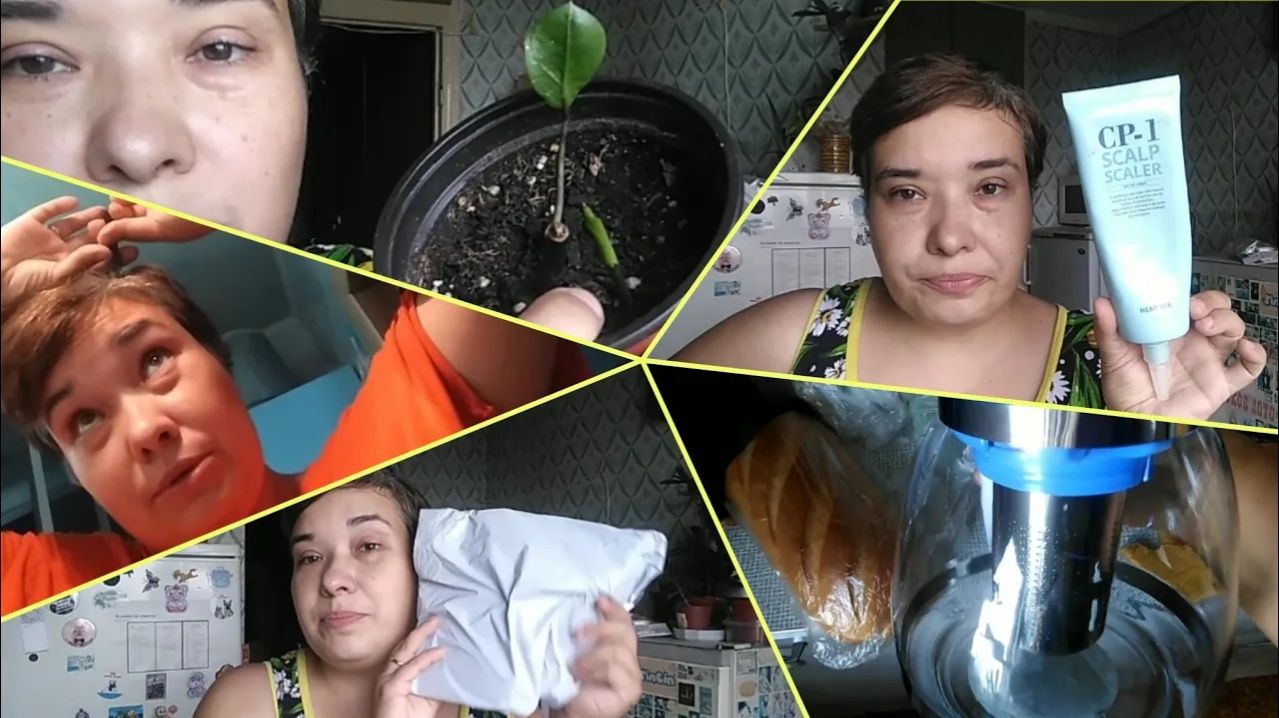 43-2024 ЛайфХак для волос! Новый росток! Распаковка ALIEXPRESS. Алиса НАКОСЯЧИЛА __ Elena Pero