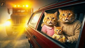 У Папы Кота ночью сломалась машина 😨 Он позвонил в страховую компанию посреди пустыни…