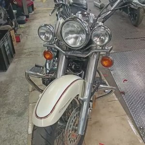 окрас yamaxa drag star перламутр и стиль!