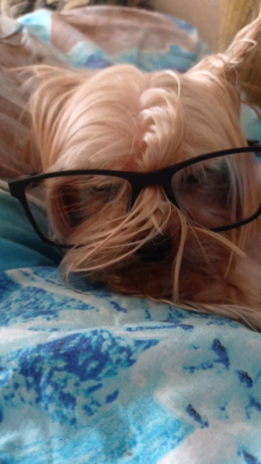 стрим смотреть онлайн