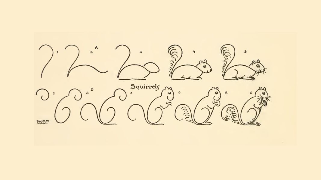 Как нарисовать белочку?