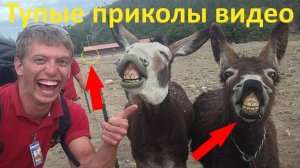 Смешные женские нелепости