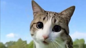 На конкурс Фан боту