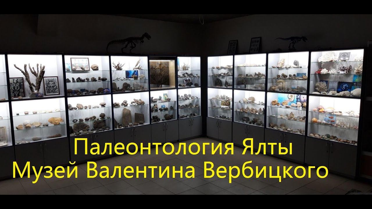 Палеонтологический музей в Ялте. Виртуальная экскурсия