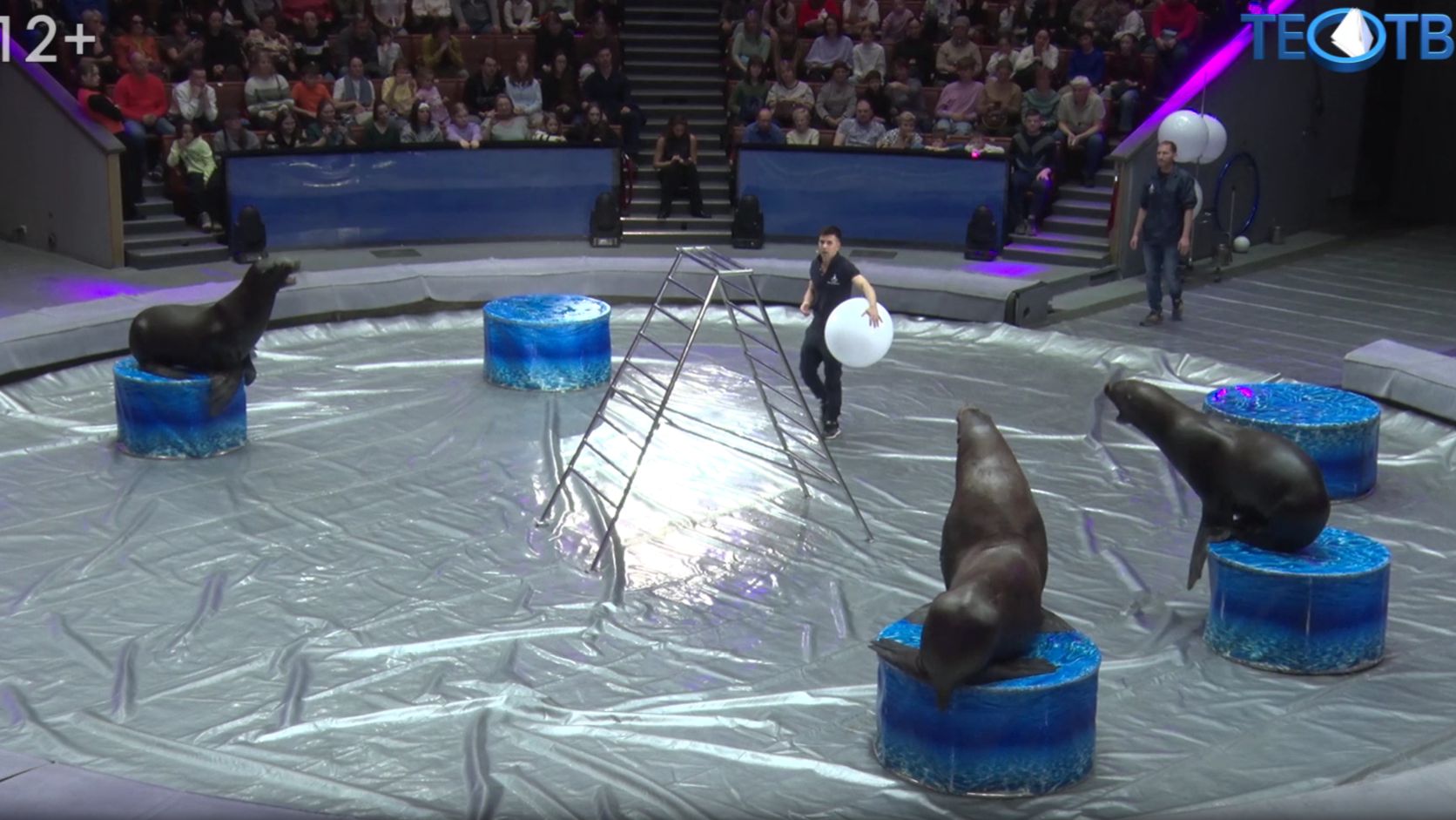 Искусство без грима: открытая репетиция в Большом Московском цирке смотреть онлайн