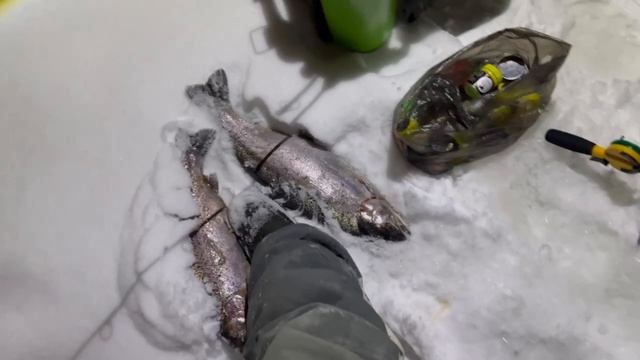 1000140062.mp4 смотреть онлайн