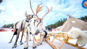 Оленеводы отправились на конкурс профмастерства в Ханты-Мансийск
