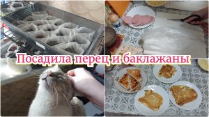 ГОТОВЛЮ ЗАВТРАК | ПАРНИК СВОИМИ РУКАМИ | ПОСАДИЛА ПЕРЕЦ И БАКЛАЖАНЫ