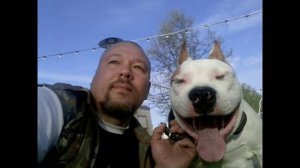 Как правильно гулять с собакой?