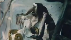 Возвращение.mp4