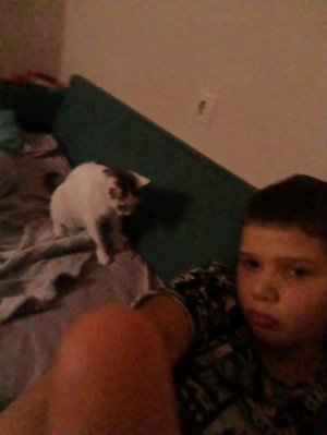 Разговариваю с подписчиками