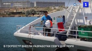 В Госреестр внесли разработки СевГУ для моря и воздуха