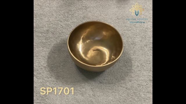 SP1701 Тибетская поющая чаша ручной работы