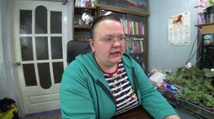 Ваши вопросы - мои ответы. Часть 99