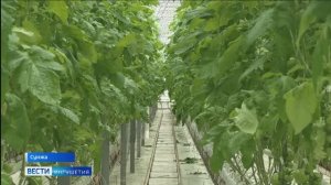 Специалисты Россельхознадзора проверят агропредприятия Ингушетии