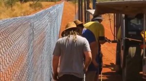 Что происходит, когда Австралия строит новые заборы