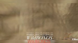 WildCraft огромное спасибо за 20 подписчиков!!!