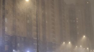 Метель бушует в Санкт-Петербурге 26.02.2026
