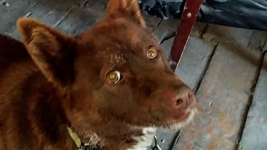 Зима лютует, весну уже чует! t-31°! 27-02-2026 смотреть онлайн