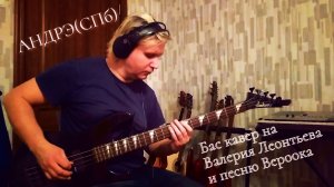 АНДРЭ(СПб) - Вероока (Валерий Леонтьев) Бас Кавер муз. Раймонд Паулс, стихи Илья Резник