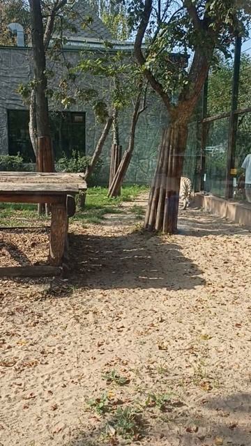 зоопарк" Лимпопо" Нижний Новгород