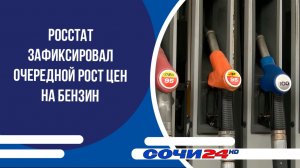 Росстат зафиксировал очередной рост цен на бензин