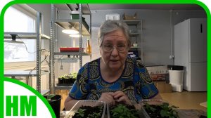 27 февраля. Работаю в рассадной и болтаю на разные темы.