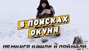 В поисках окуня | Рыбалка на Финском заливе | Немного нашли и поймали!