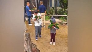 ПОПРОБУЙ НЕ ЗАСМЕЯТЬСЯ (ПОДБОРКА)