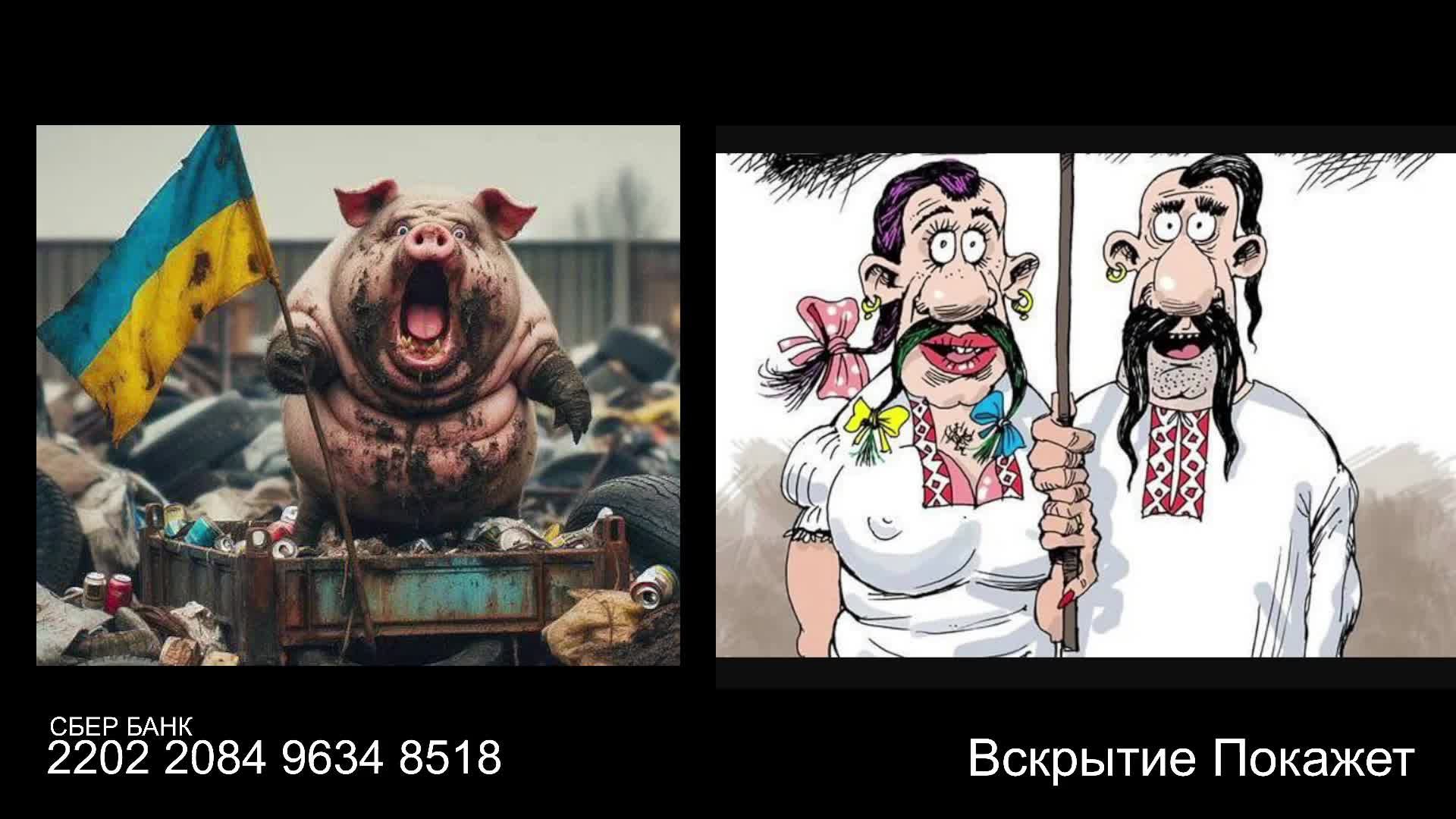 Стрим по сумеркам смотреть онлайн