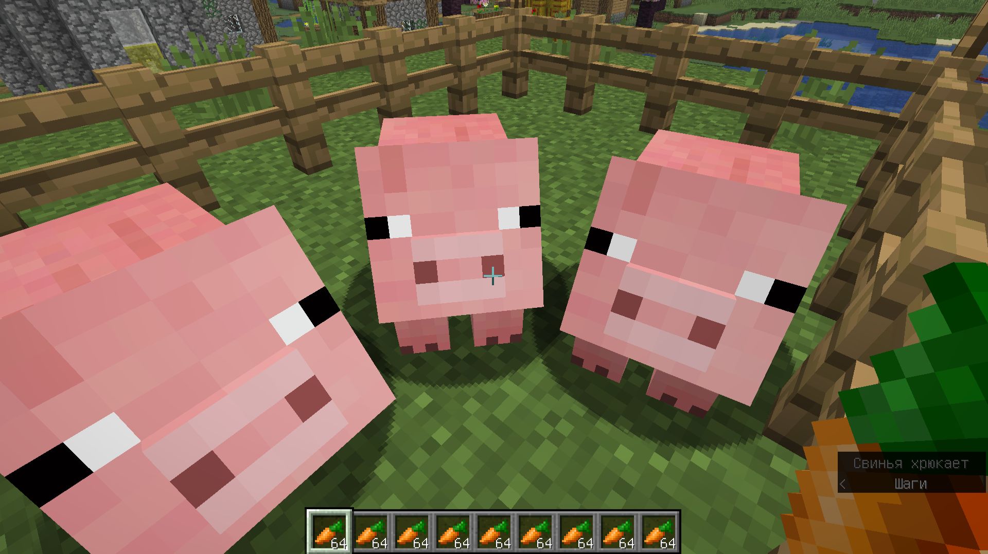 играю на сервере minecraft который называется reallyworld смотреть онлайн