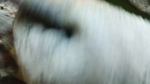 Гранулятор Компакт 125,матрица 3 мм,220В. Изготовили и отправили в город Рязань.