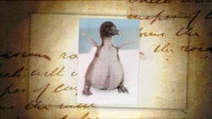 В мире, ЖИВОТНЫХ !