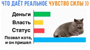 ПОЗВАЛ КОТА, И ОН ПРИШЁЛ! ))) Приколы с котами | Мемозг 1724