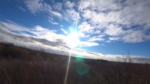 Охота на косулю 2025