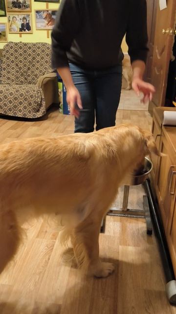 Завтрак Ариши