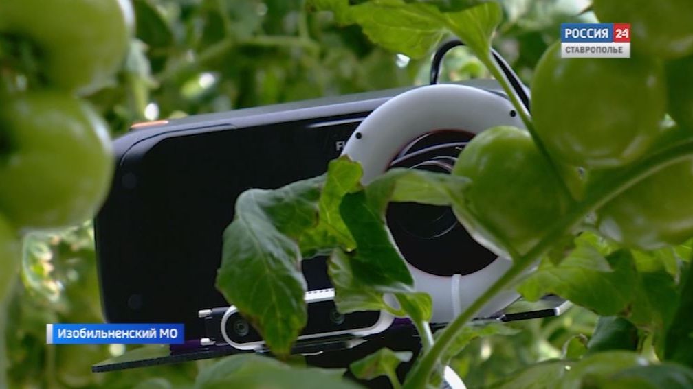 Цифровая революция в агросекторе Ставрополья: инновации для повышения урожайности и эффективности смотреть онлайн