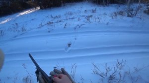 Охота на зайца с гончими. Не уловимый. Сезон 2025-2026 №241