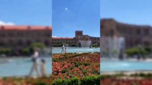 визитная карточка